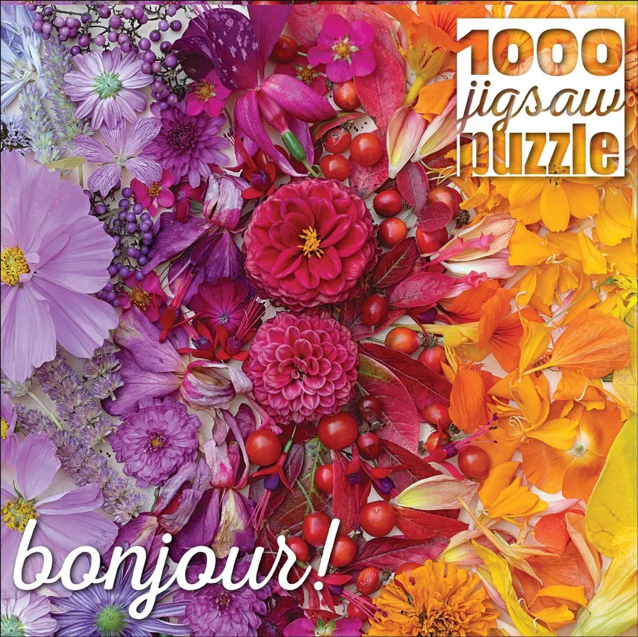 Gradient Flora - Scratch and Dent Flower & Garden