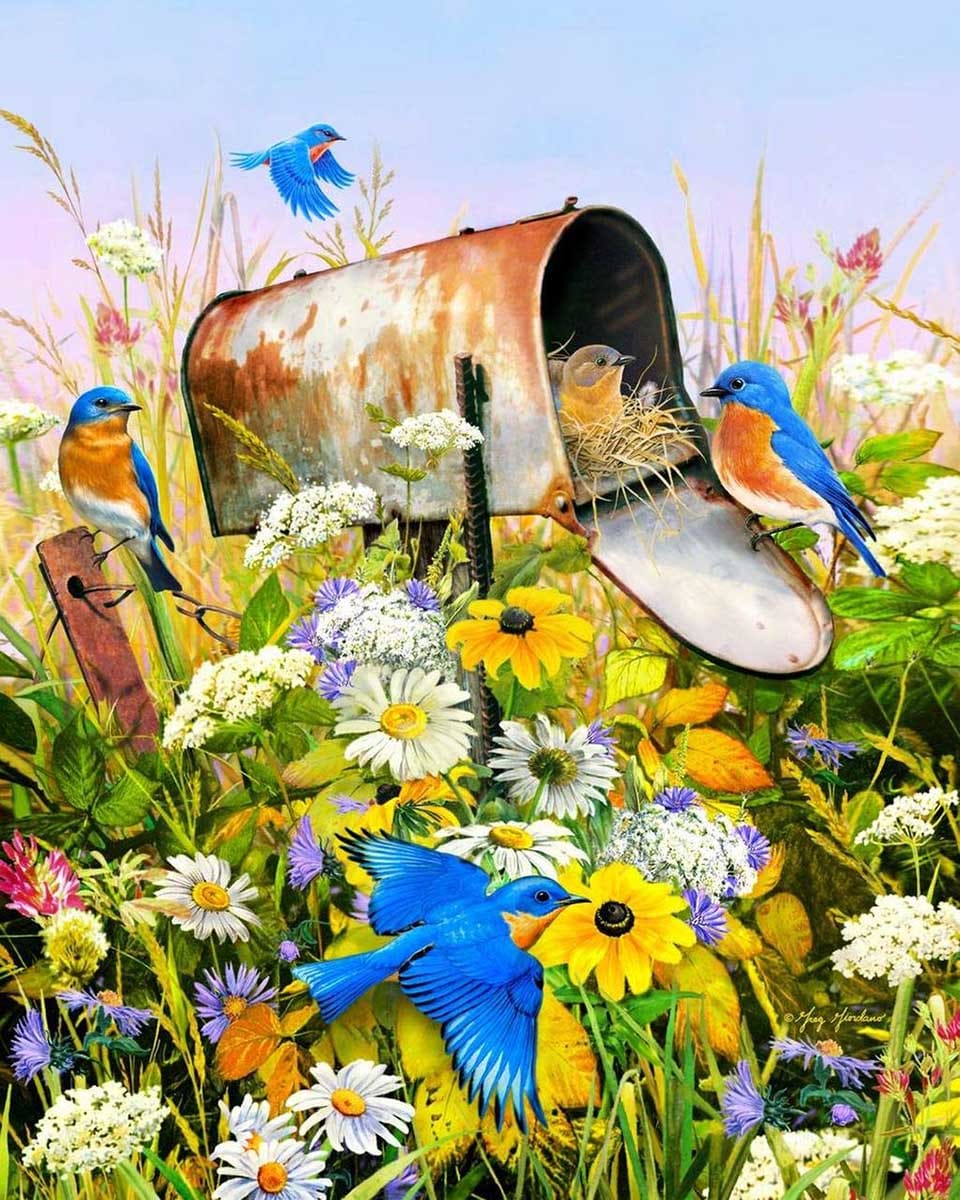 Blue Birds Birds