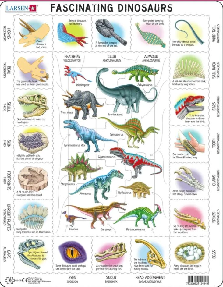 Triceratops & Friends Dinosaurs Children's Puzzles By Cobble Hill