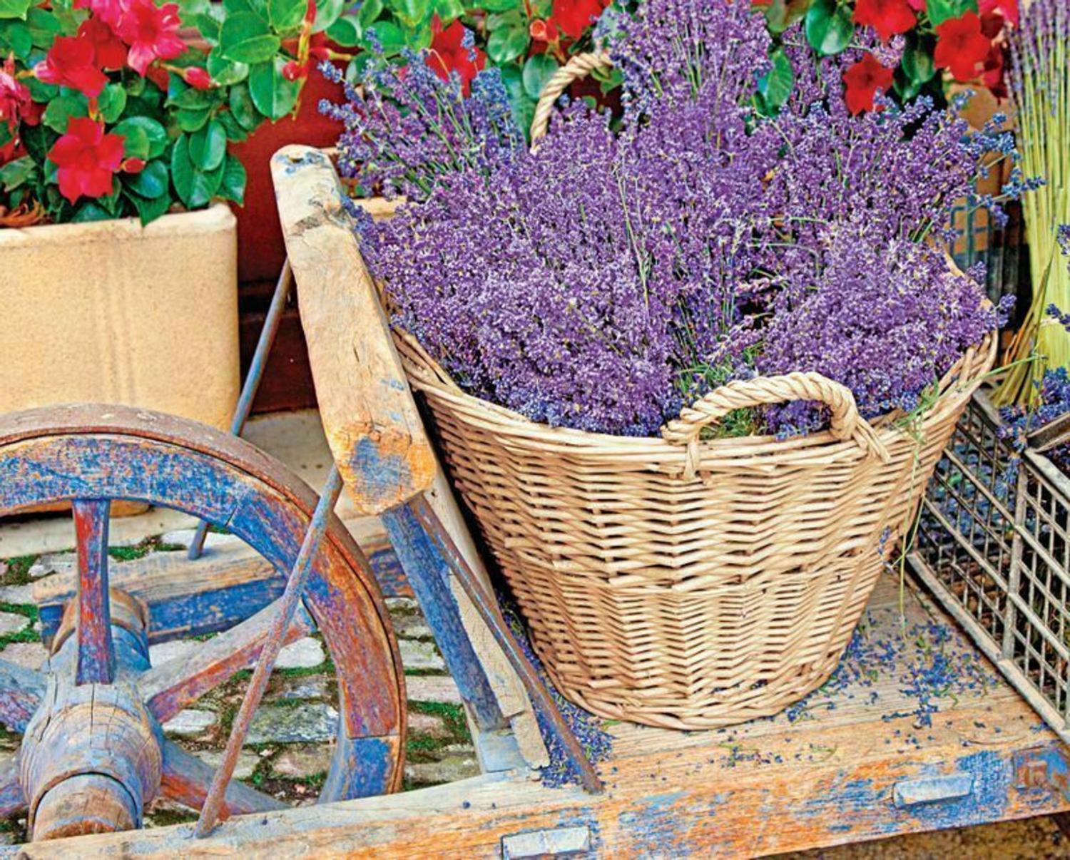 Basket of Lavender Flower & Garden Jigsaw Puzzle