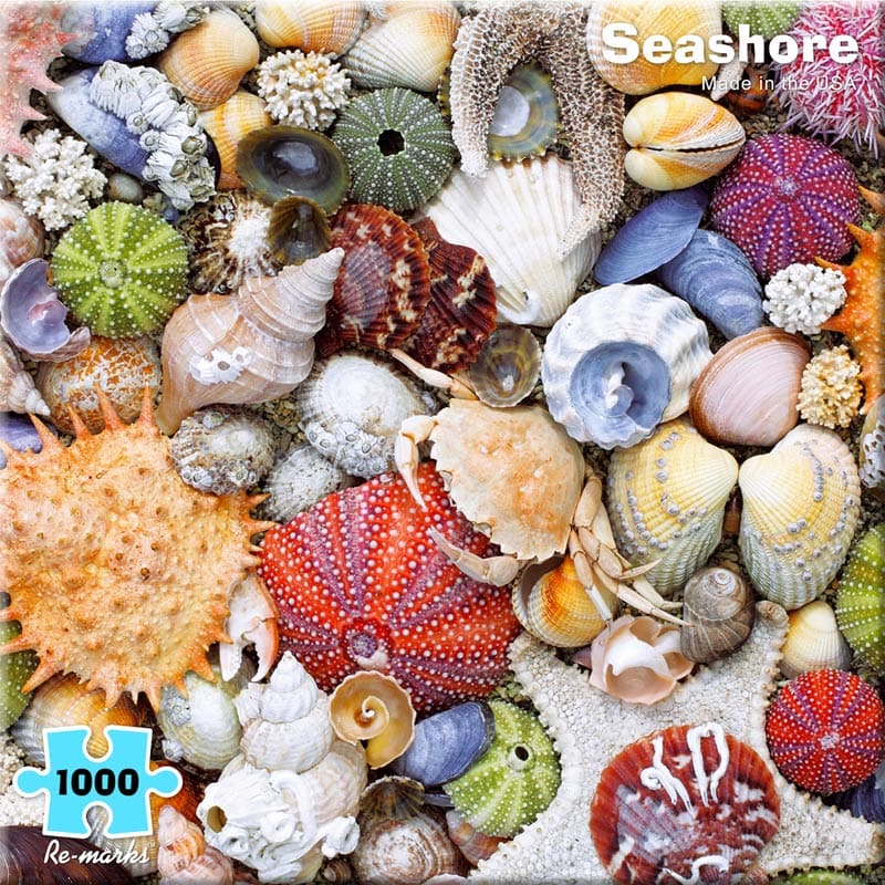 Seashore Sea Life