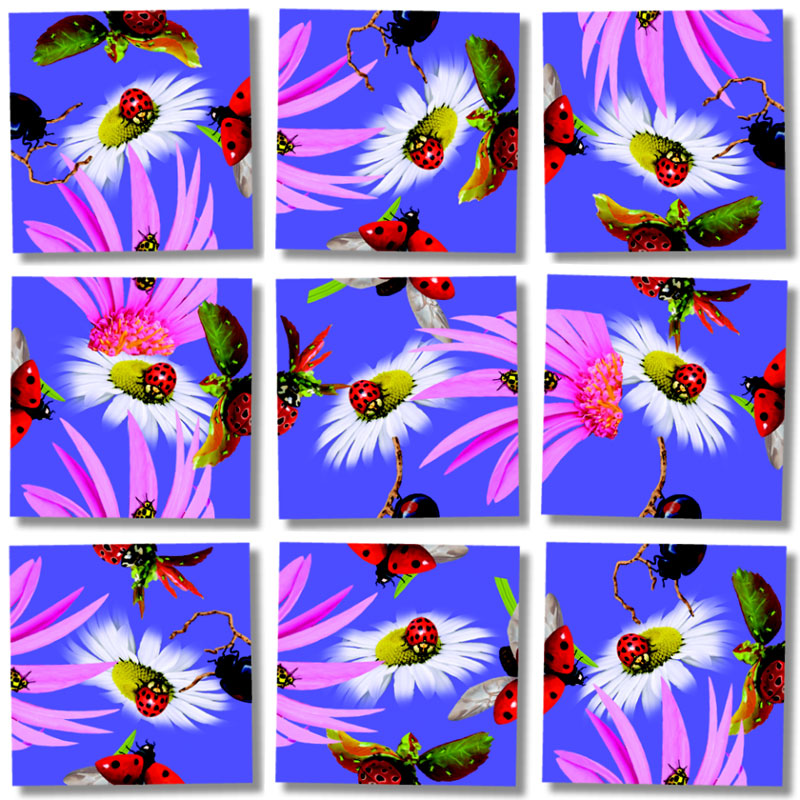 Ladybugs Butterflies and Insects Jigsaw Puzzle