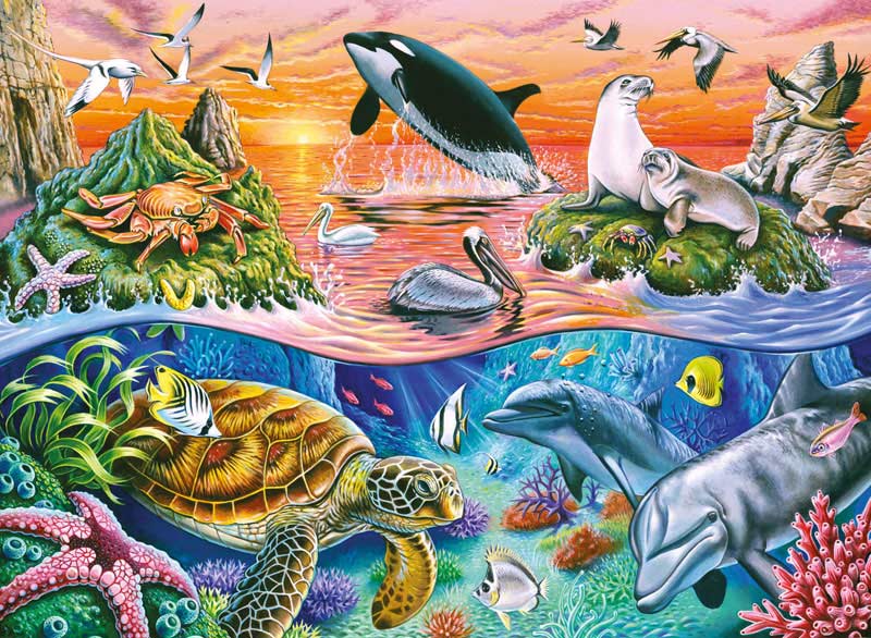 Beautiful Ocean - Scratch and Dent Sea Life