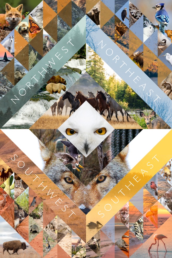 North American Wildlife Collage, Photo Collage Animals Jigsaw Puzzle
