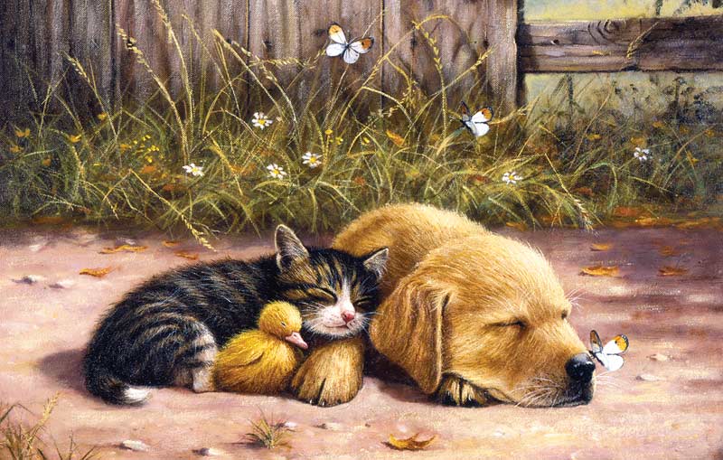 Sleepy Days - Scratch and Dent Cats Jigsaw Puzzle
