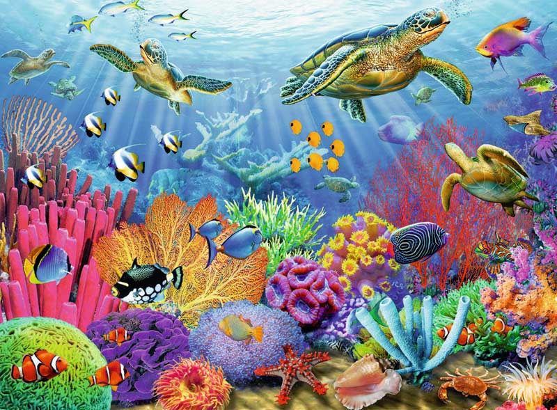 Tropical Waters - Scratch and Dent Sea Life Jigsaw Puzzle
