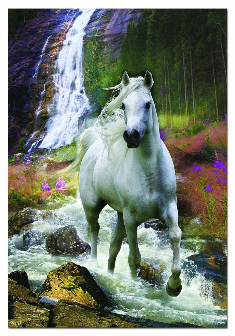 Freedom - Scratch and Dent Horse Jigsaw Puzzle