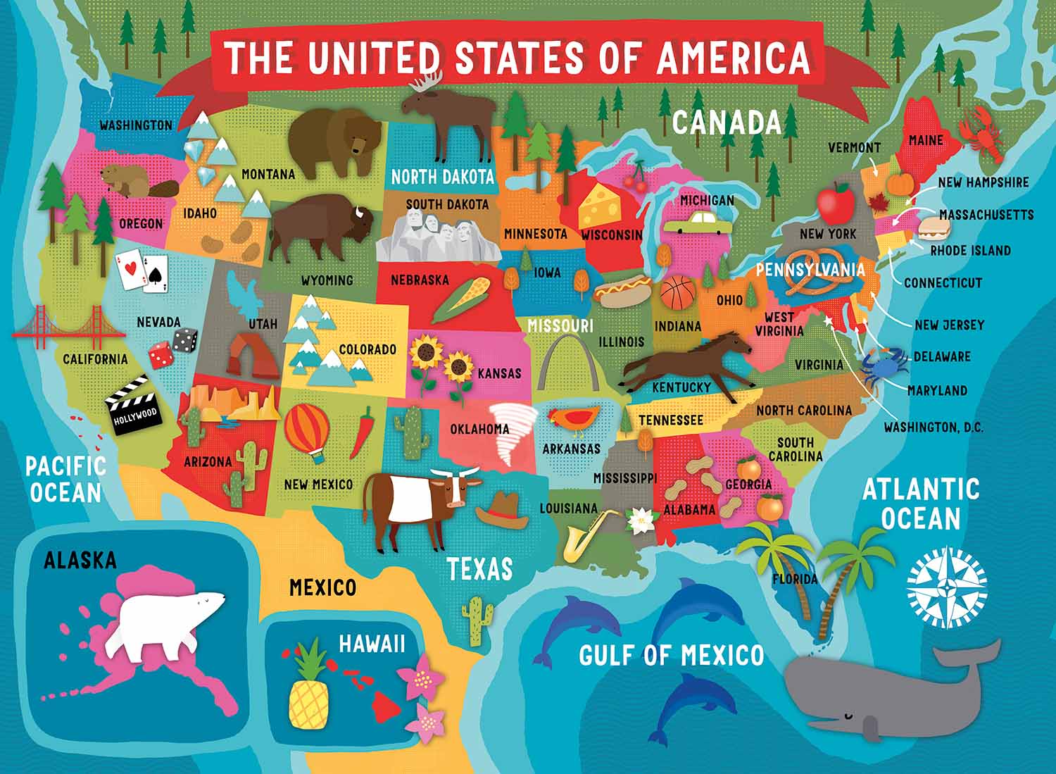 Kids USA Map Educational Jigsaw Puzzle
