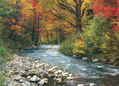 Forest Stream - Scratch and Dent Fall Jigsaw Puzzle