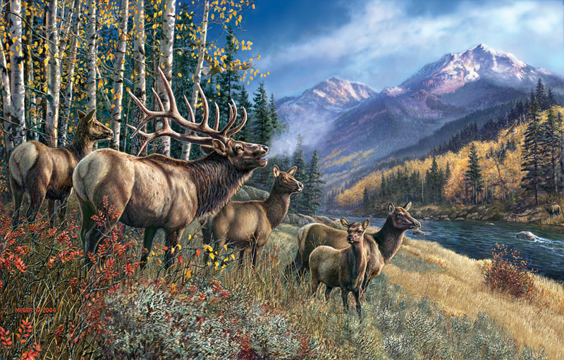 Elk Anthem - Scratch and Dent Forest Animal Jigsaw Puzzle