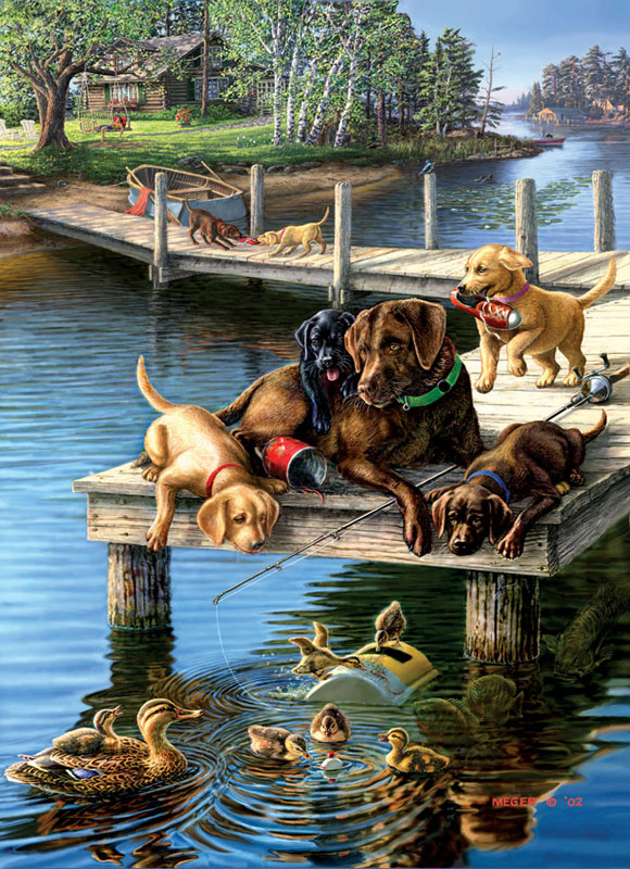 By the Shore Lakes & Rivers Jigsaw Puzzle By SunsOut