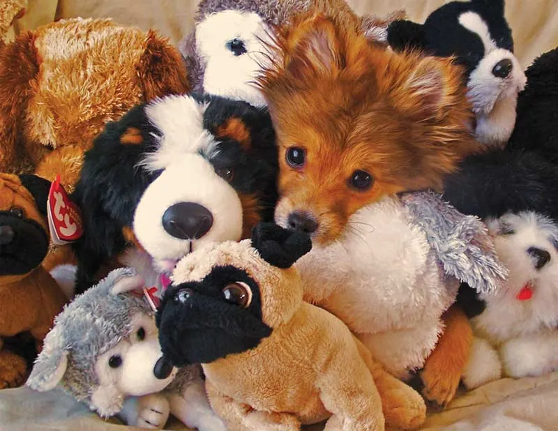 Playtime Puppies Dogs