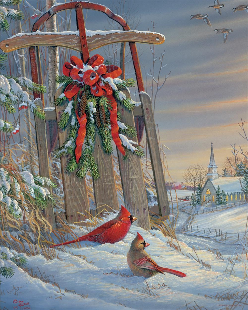 Winter Red Birds Birds