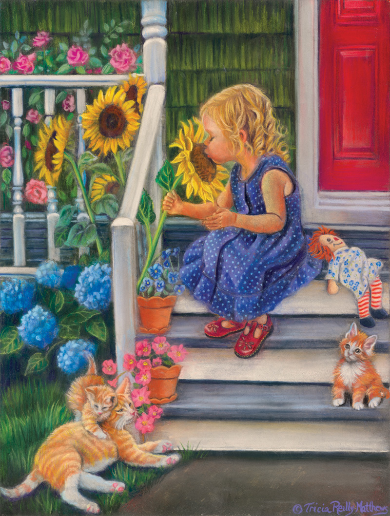 A Summer Kiss - Scratch and Dent Cats