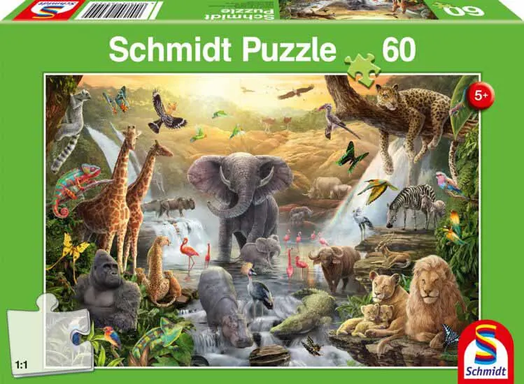 Animals in Africa Animals
