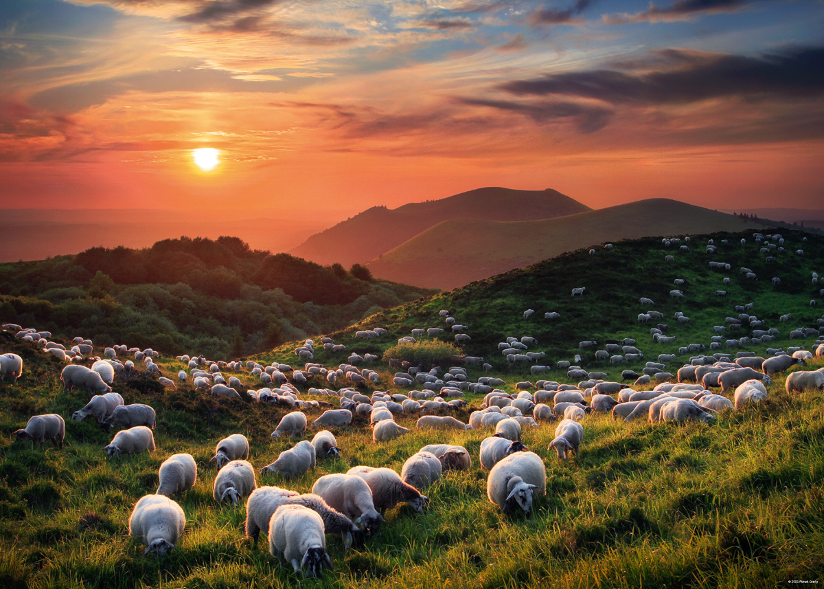 Sheep and Volcanoes Countryside Jigsaw Puzzle
