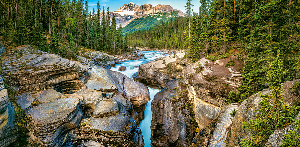 Mistaya Canyon, Banff National Park, Canada Forest