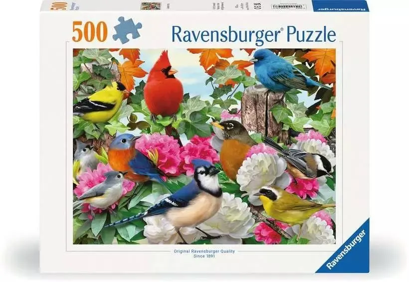 Garden Birds Birds