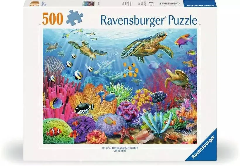 Tropical Waters Sea Life
