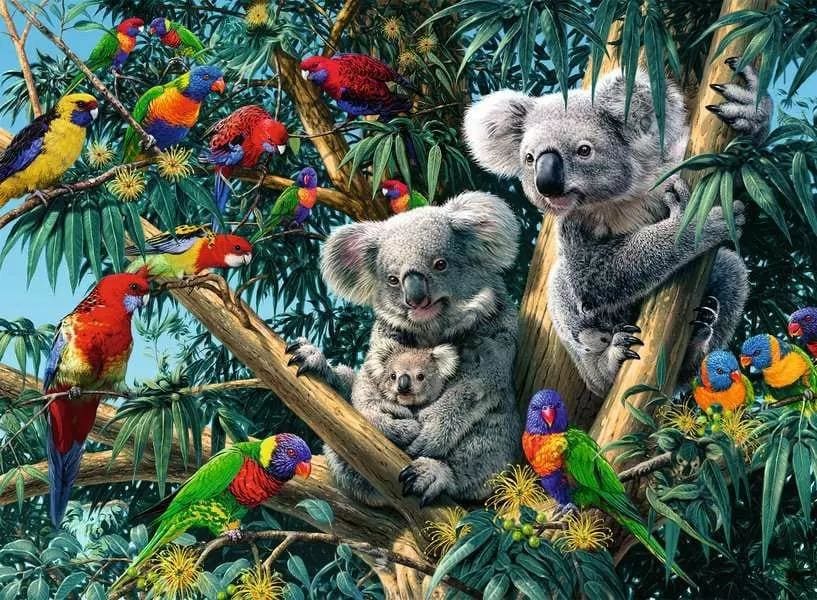 Koalas in a Tree Animals