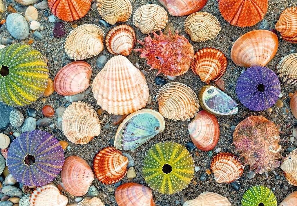 Puzzle Moments: By the Seashore Beach & Ocean