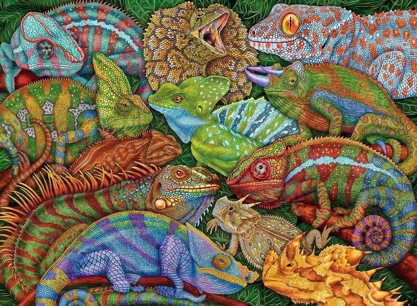 Riveting Reptiles Reptile & Amphibian