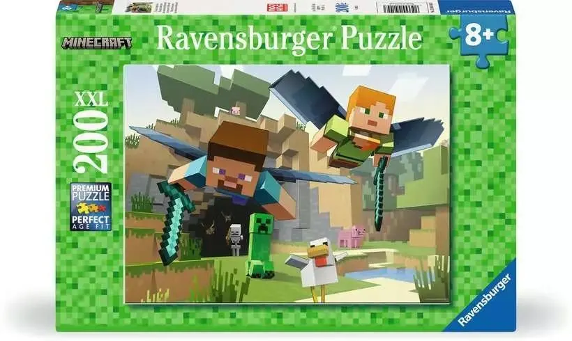 Minecraft Video Game