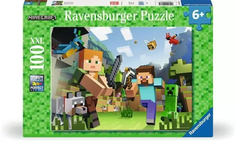 Minecraft Video Game