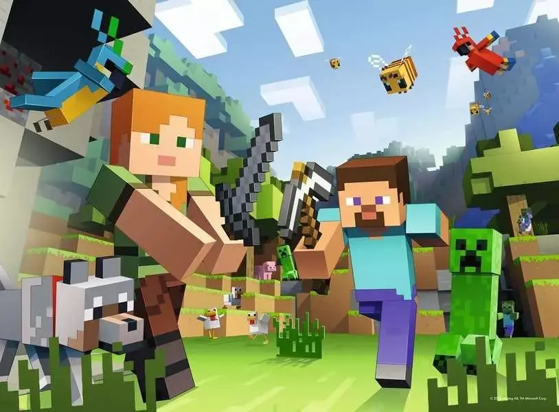 Minecraft Video Game