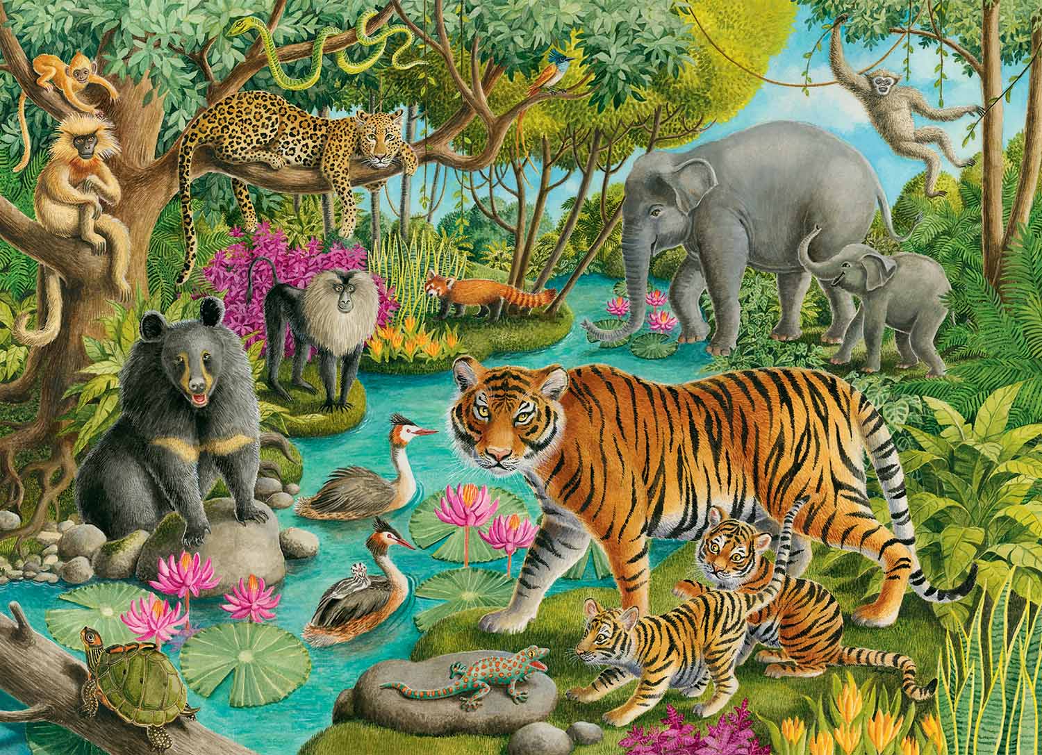 Animals of India Jungle Animals Jigsaw Puzzle
