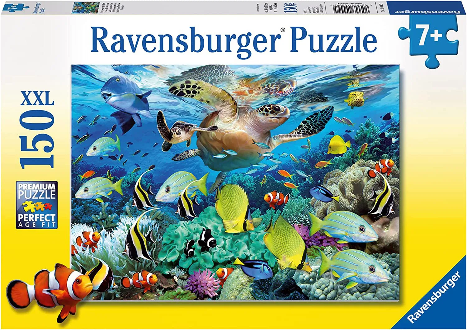 Underwater Paradise Sea Life
