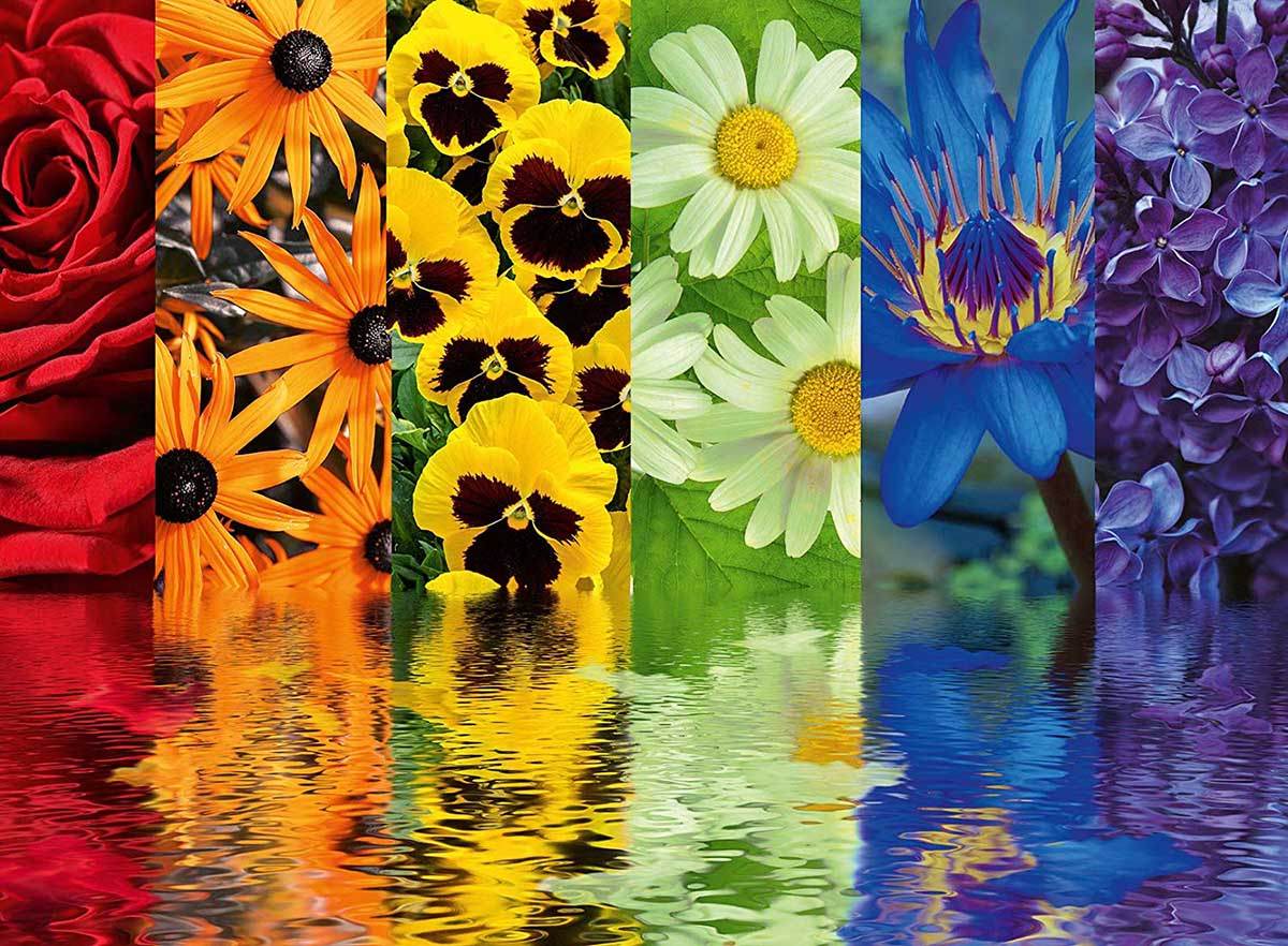 Floral Reflections Flower & Garden Jigsaw Puzzle