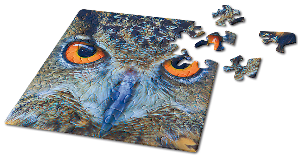 High and Mighty Birds Jigsaw Puzzle By SunsOut