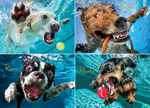 Underwater Dogs:  Pool Pawty - Scratch and Dent Dogs Jigsaw Puzzle