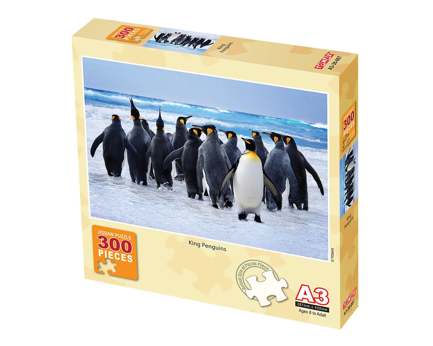 King Penguins  Birds