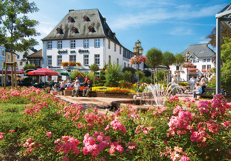 Market Square, Bad Neuenahr-Ahrweiler, Germany - Scratch and Dent Flower & Garden Jigsaw Puzzle