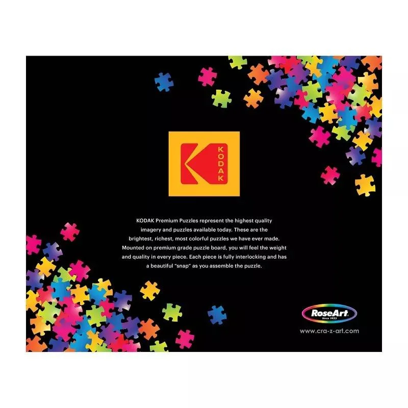 Kodak Master 2000 - Color Study Squares with Concentric Circle Contemporary & Modern Art