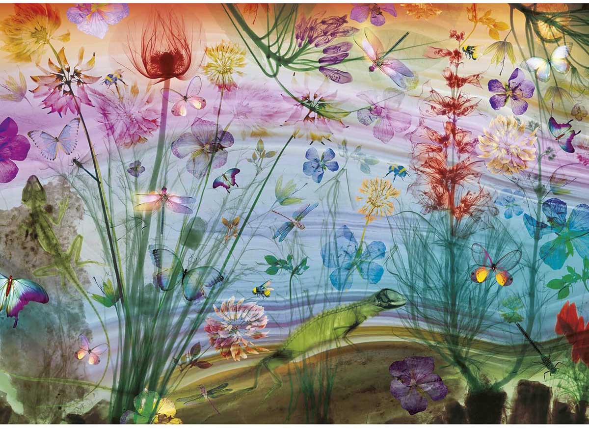 See Through Nature Flower & Garden Jigsaw Puzzle