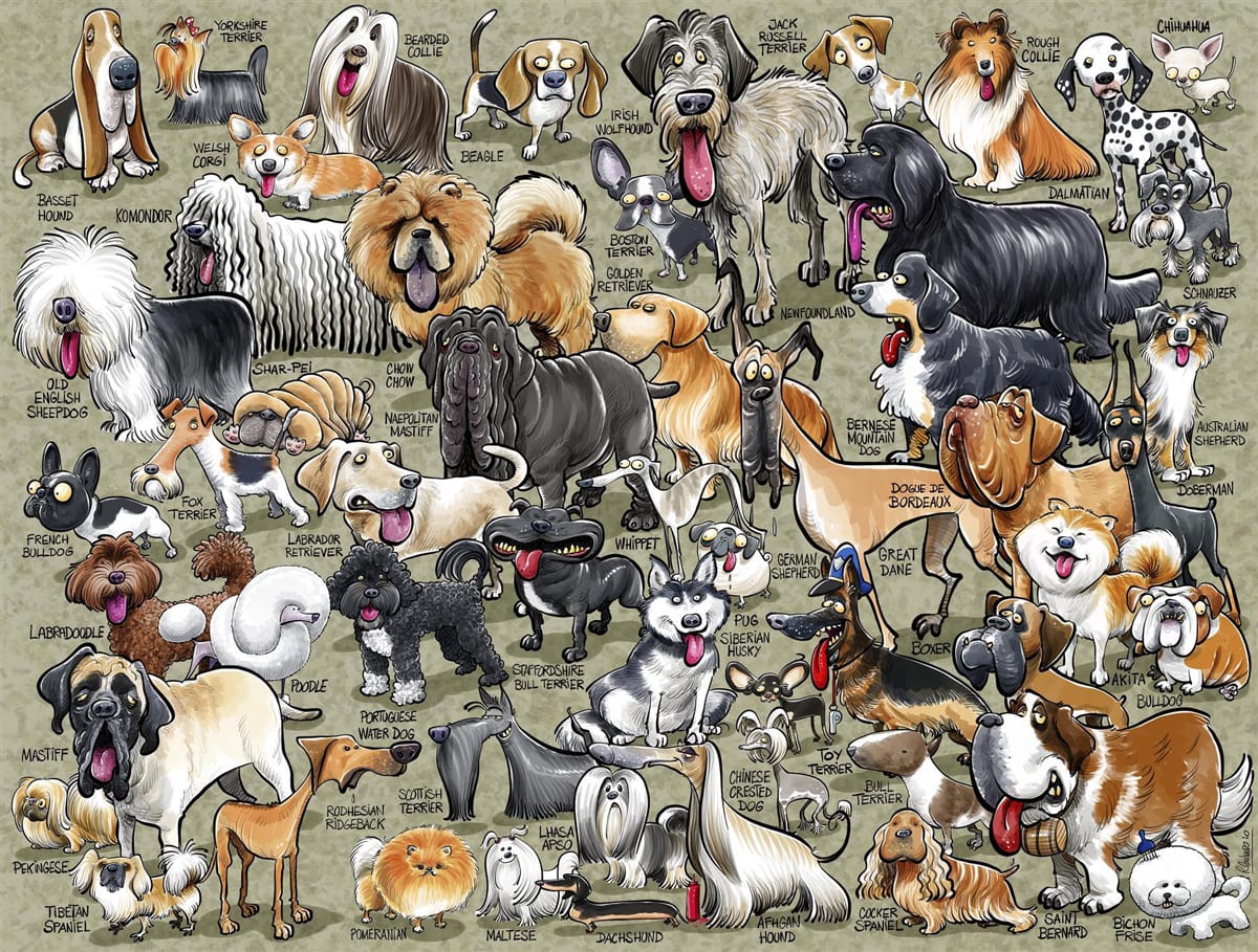 It's Just...Dogs! Dogs