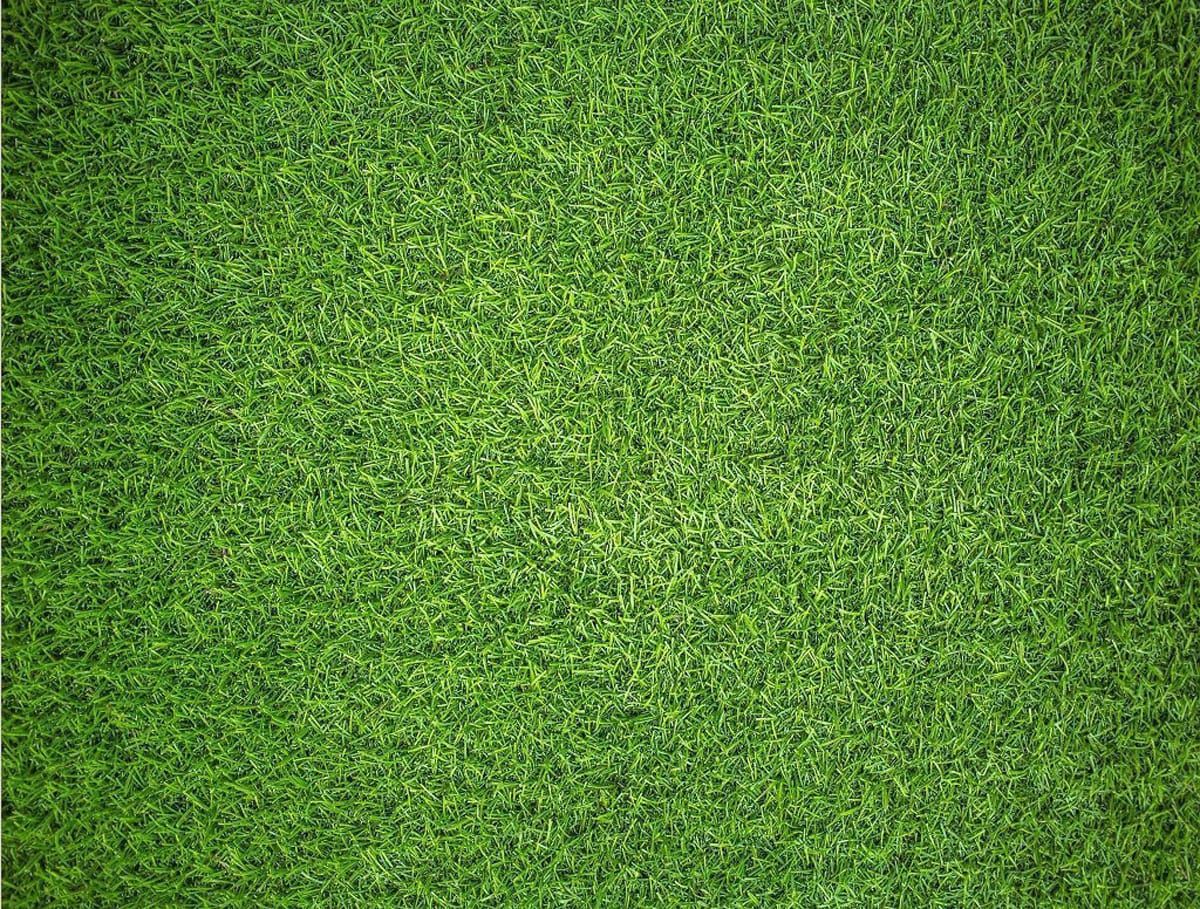 Natural Grass - Impuzzible No.7 Photography