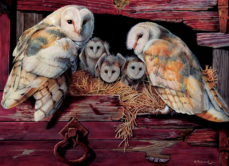 Barn Owls - Scratch and Dent Birds Jigsaw Puzzle
