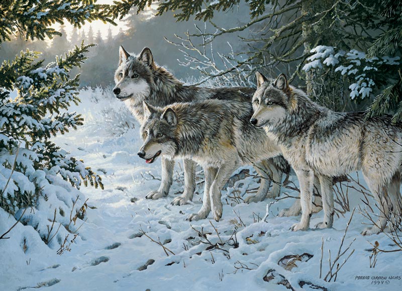 Wolves by Moonlight Lakes & Rivers Jigsaw Puzzle By Cobble Hill