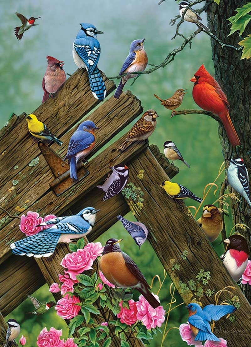 Birds of the Forest Birds Jigsaw Puzzle