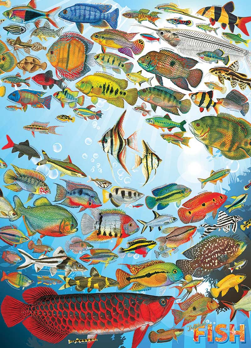Island Paradise Fish Jigsaw Puzzle By Tomax Puzzles