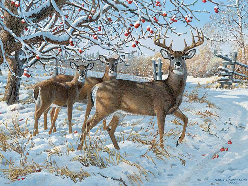Winter Deer - Scratch and Dent Forest Animal Jigsaw Puzzle