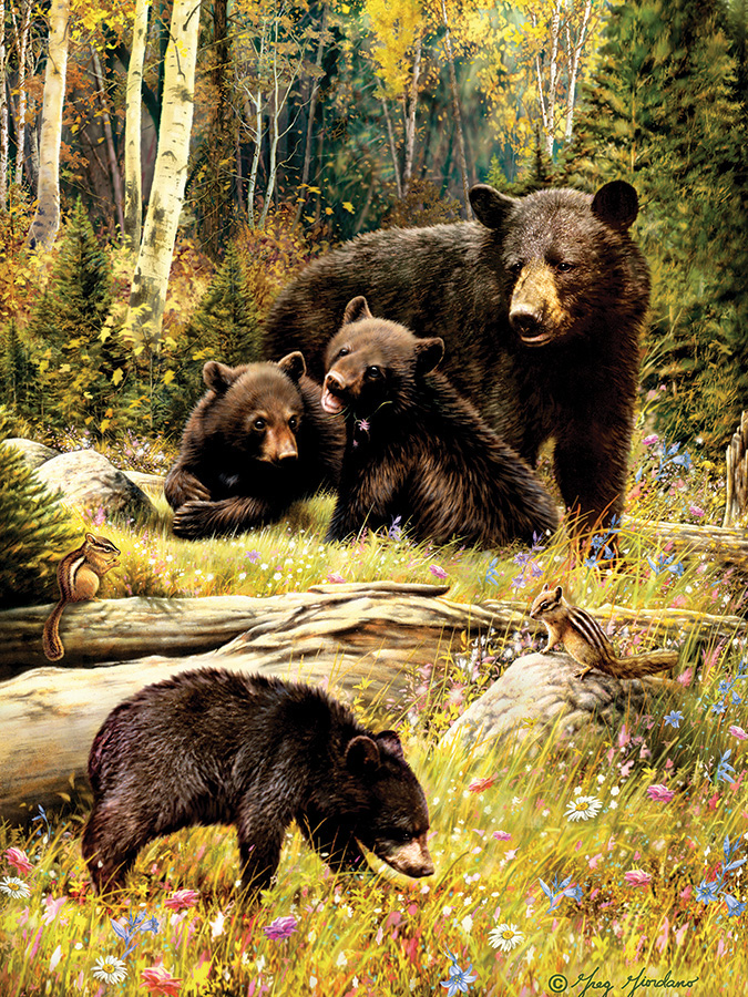 Yosemite National Parks Jigsaw Puzzle By MasterPieces