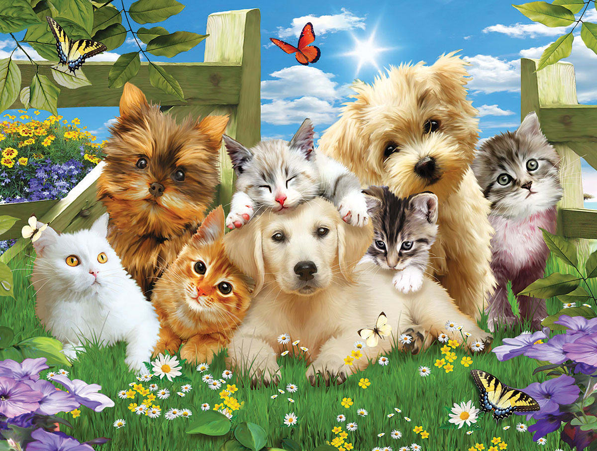Pups 'n Kittens Cats