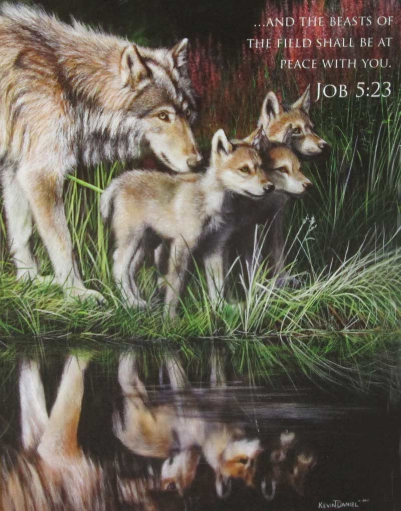 Reflections (Inspirations) - Scratch and Dent Religious Jigsaw Puzzle