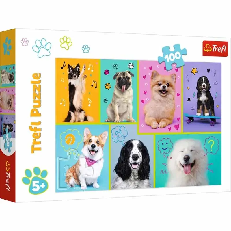In the world of dogs Dogs