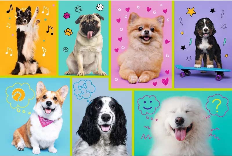 In the world of dogs Dogs Jigsaw Puzzle